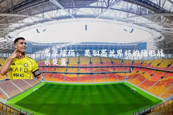 高原球场：美加墨世界杯的隐形战术变量